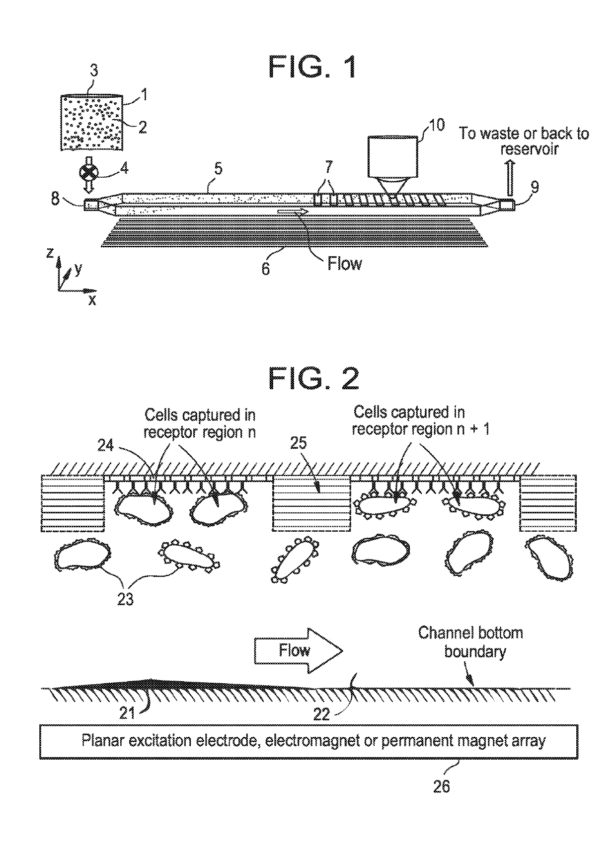 Methods and systems for drug discovery and susceptibility assay in using a ferrofluid