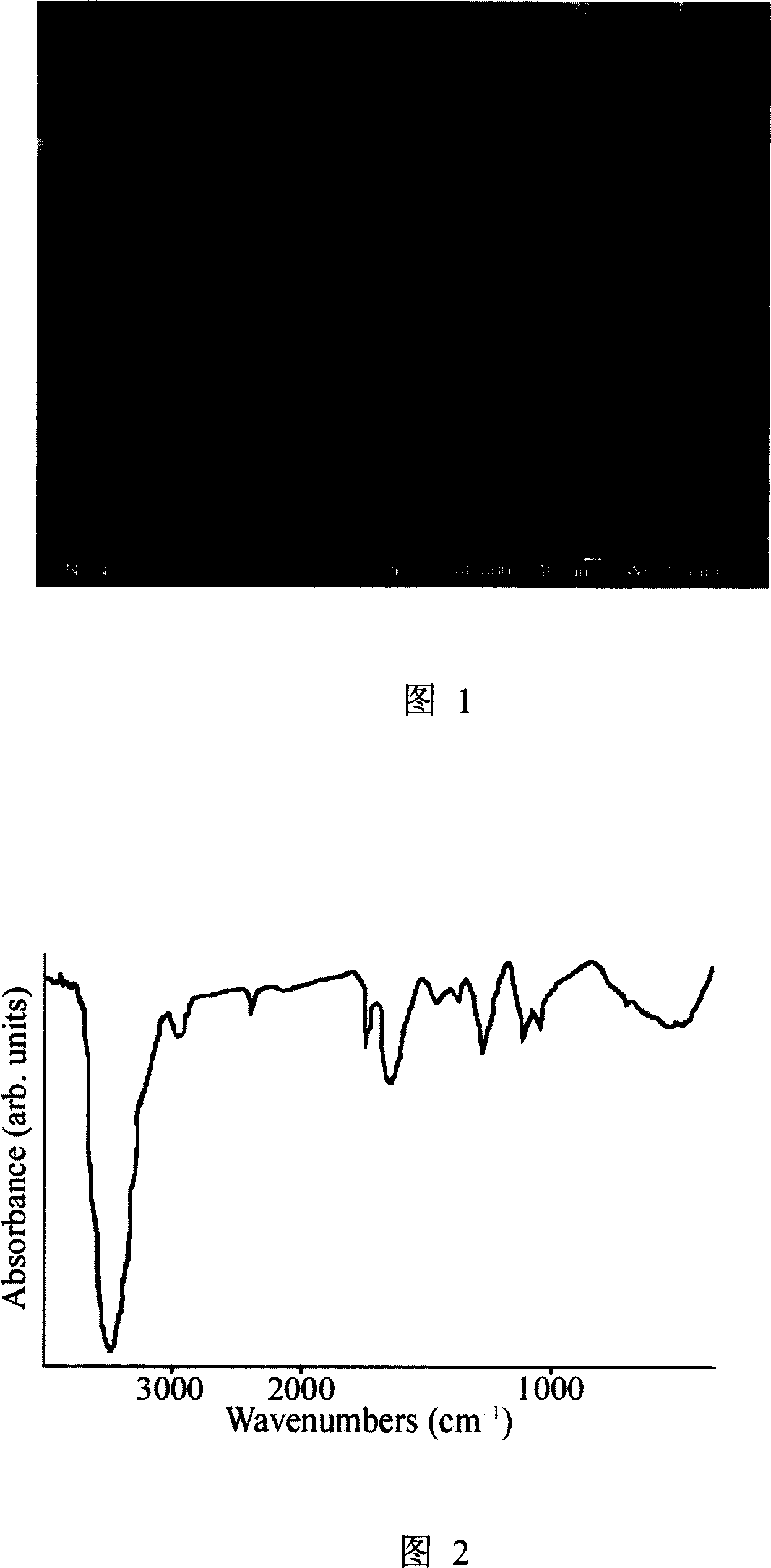 Polyaniline nano fiber and its preparing process