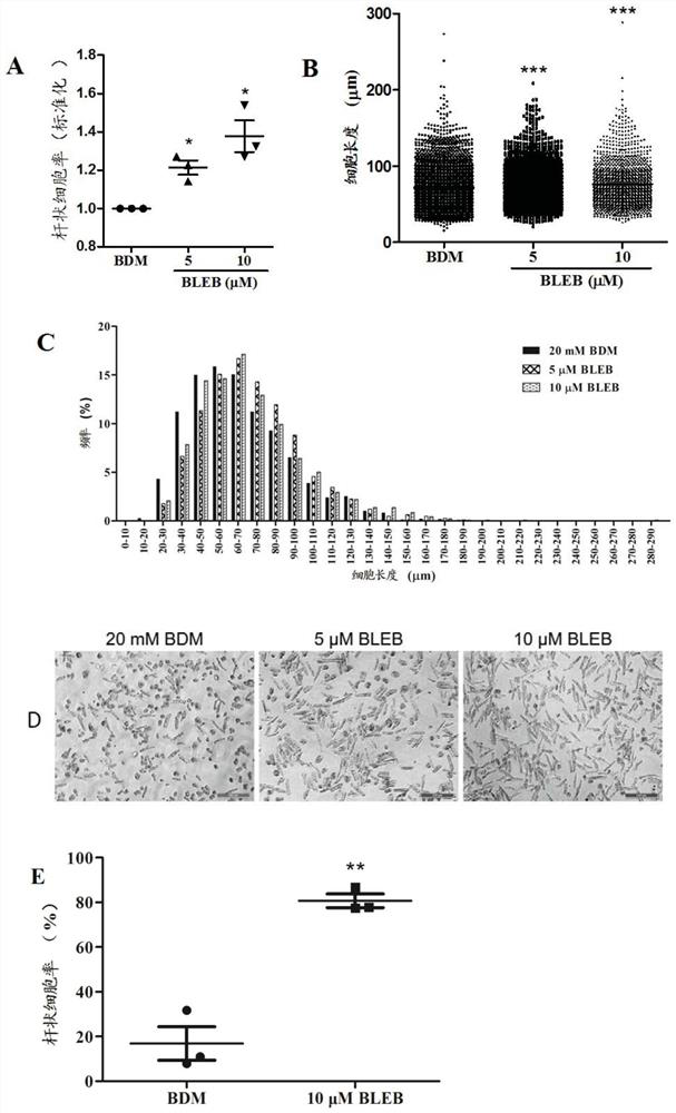 Human myocardial cell separation reagent, culture medium and separation and culture methods