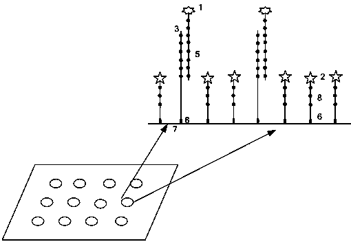 Gene chip detection method based on temperature difference probes