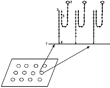 Gene chip detection method based on temperature difference probes