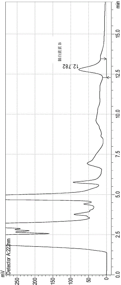 Method and bacterial strain for fermentation preparation of Echinocandin B