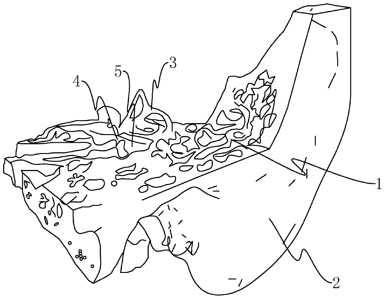 Temporal bone model and molding method thereof for surgical training