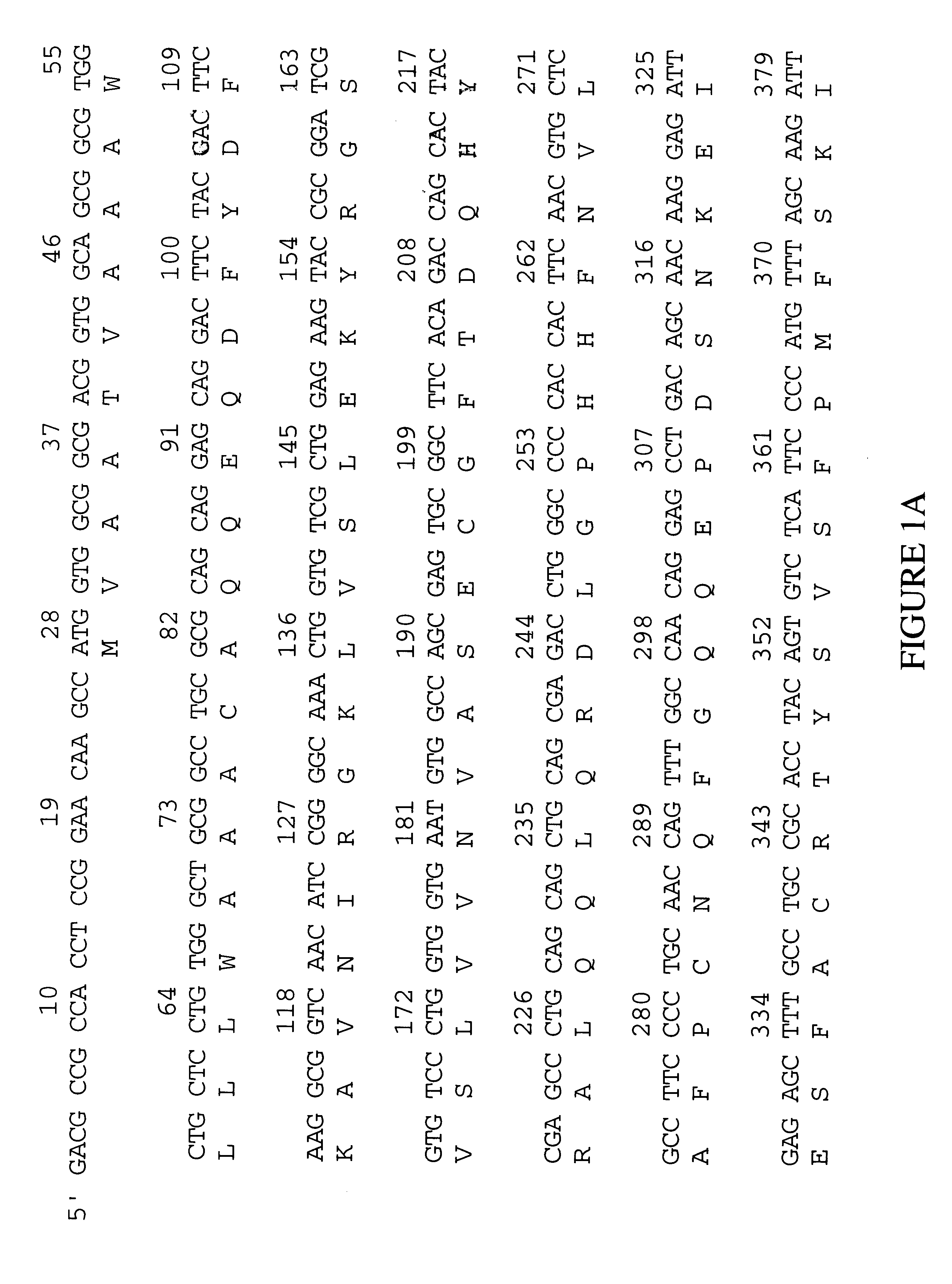 Human glutathione peroxidase-6