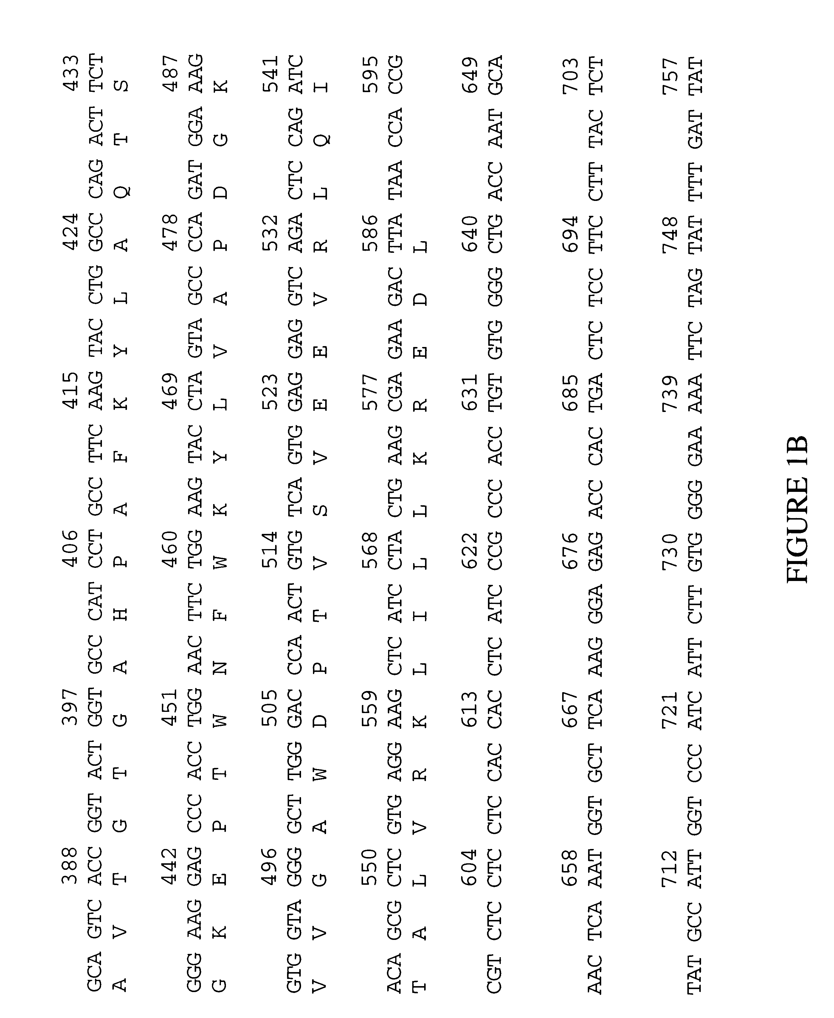 Human glutathione peroxidase-6