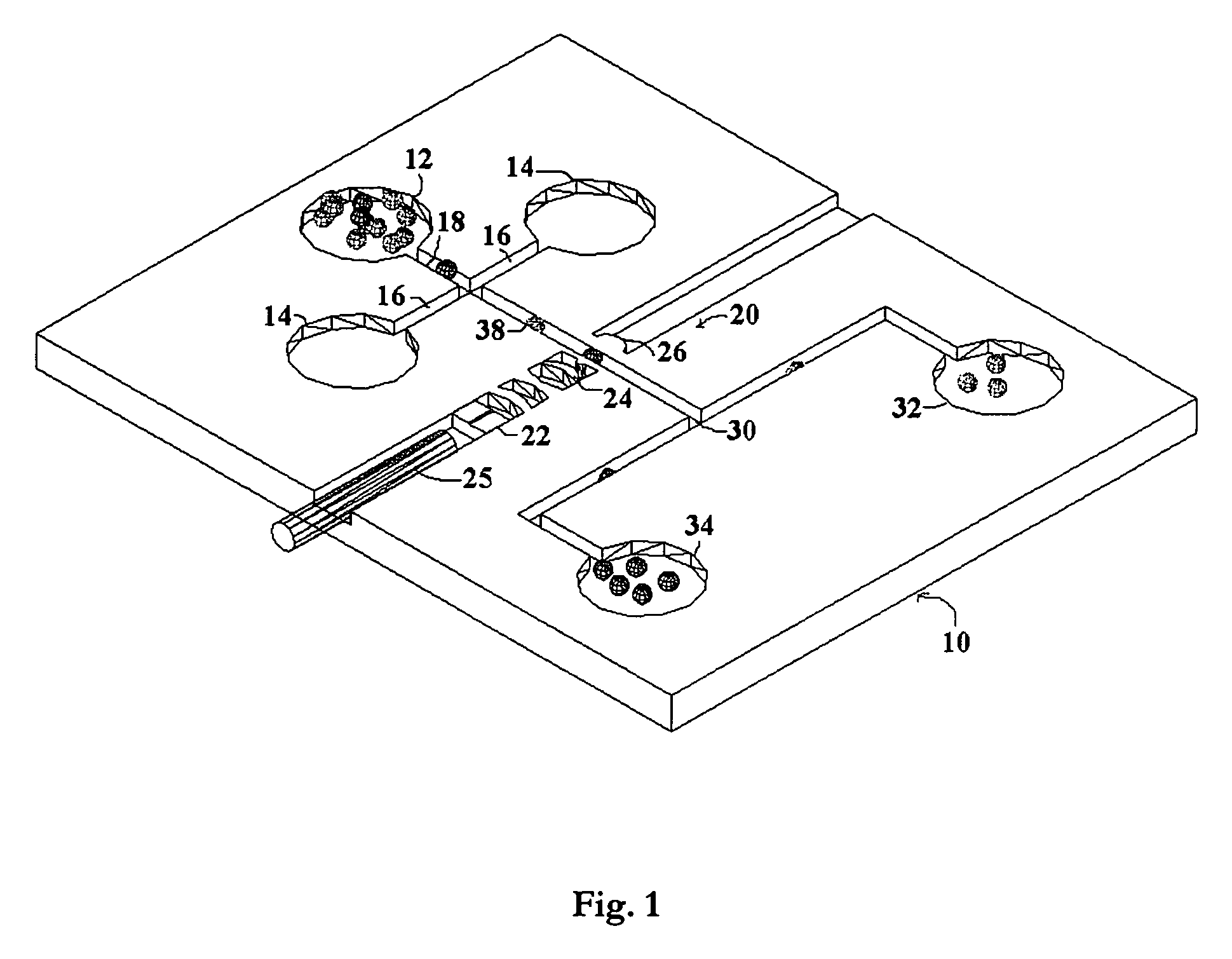 Cell analysis using laser with external cavity