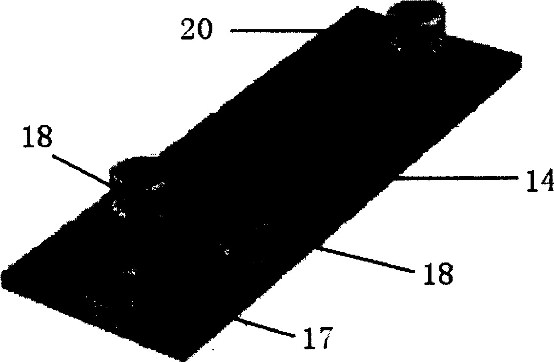 Microflow controlled chip flow-type biochemical analysis instrument and method for detecting biochemical components