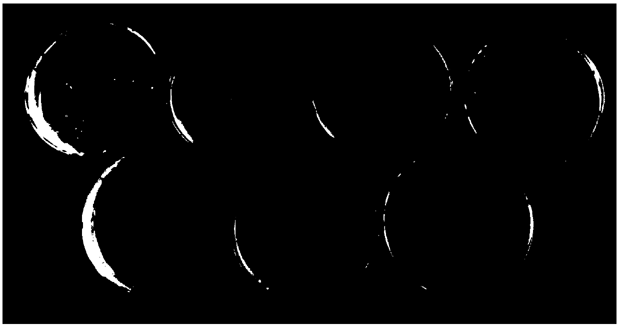 Rosin dissolution liquid bacteriostatic agent and preparation method and application thereof