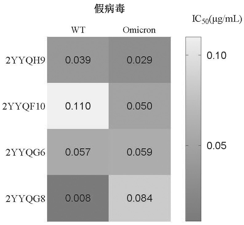 Broad-spectrum humanized anti-novel coronavirus monoclonal antibody and application thereof