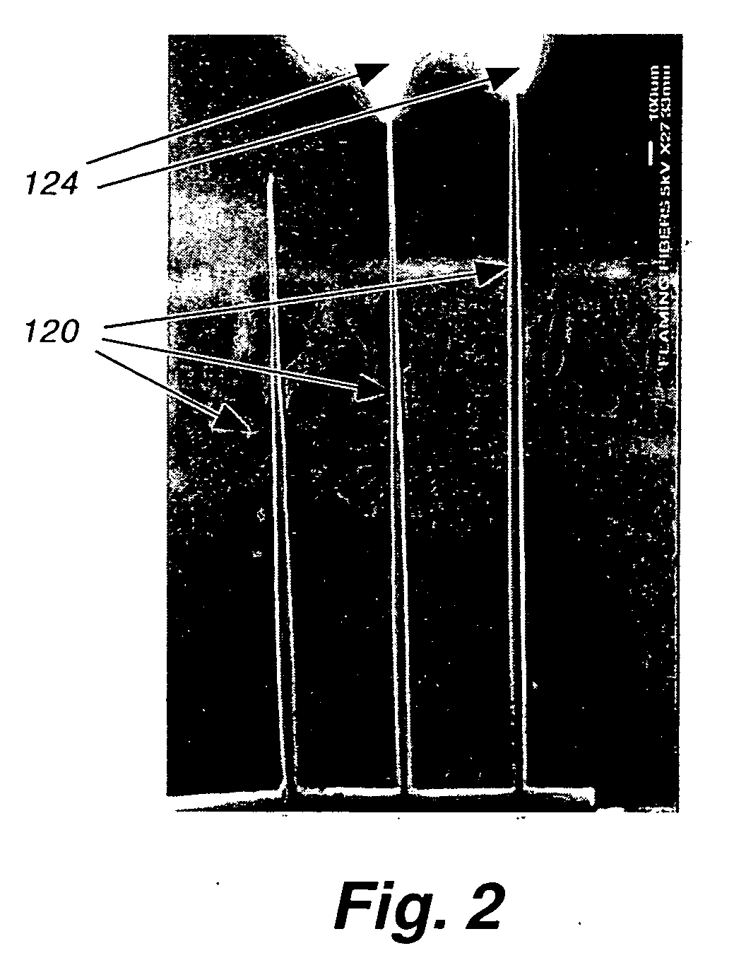 Method and apparatus for field-emission high-pressure-discharge laser chemical vapor deposition of free-standing structures