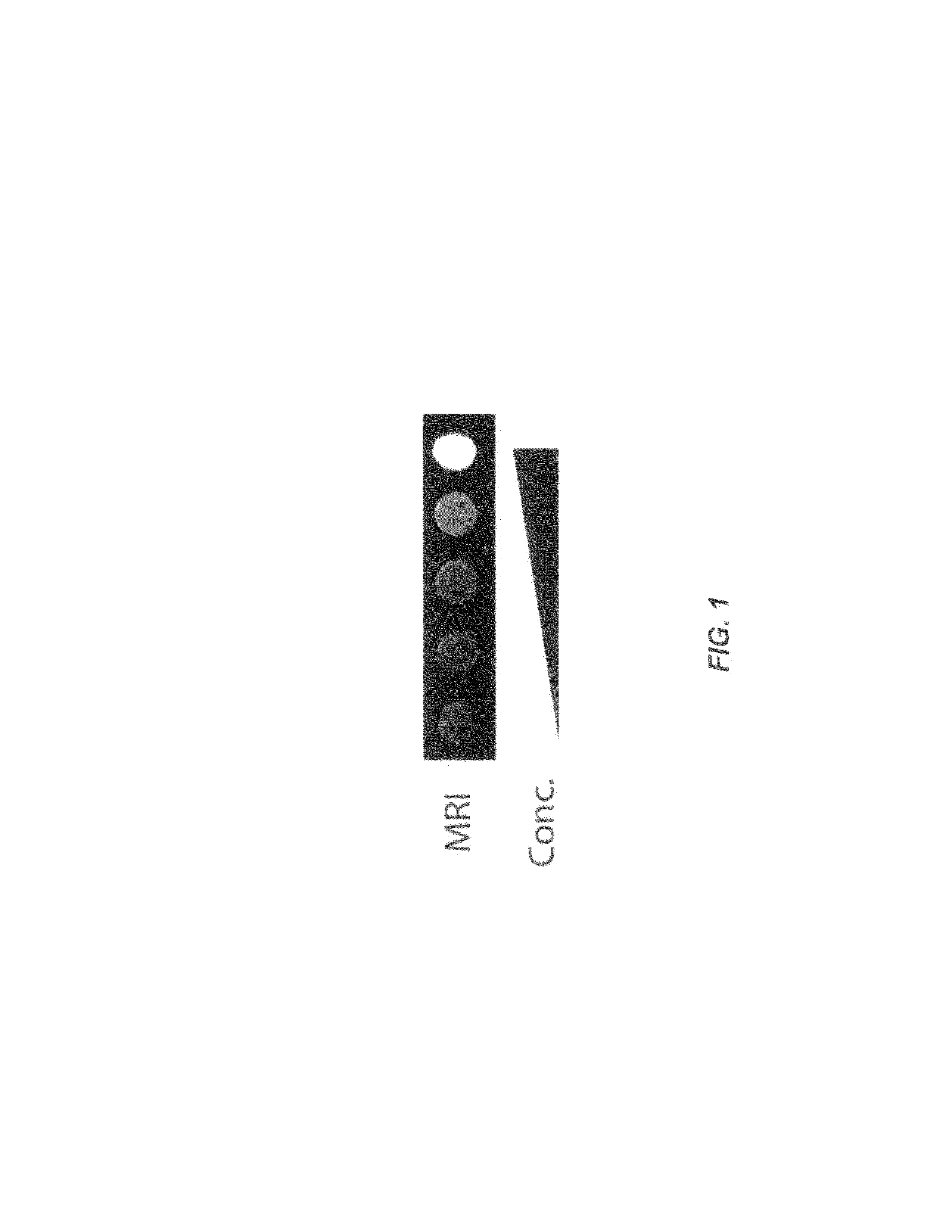 Host cells with artificial endosymbionts