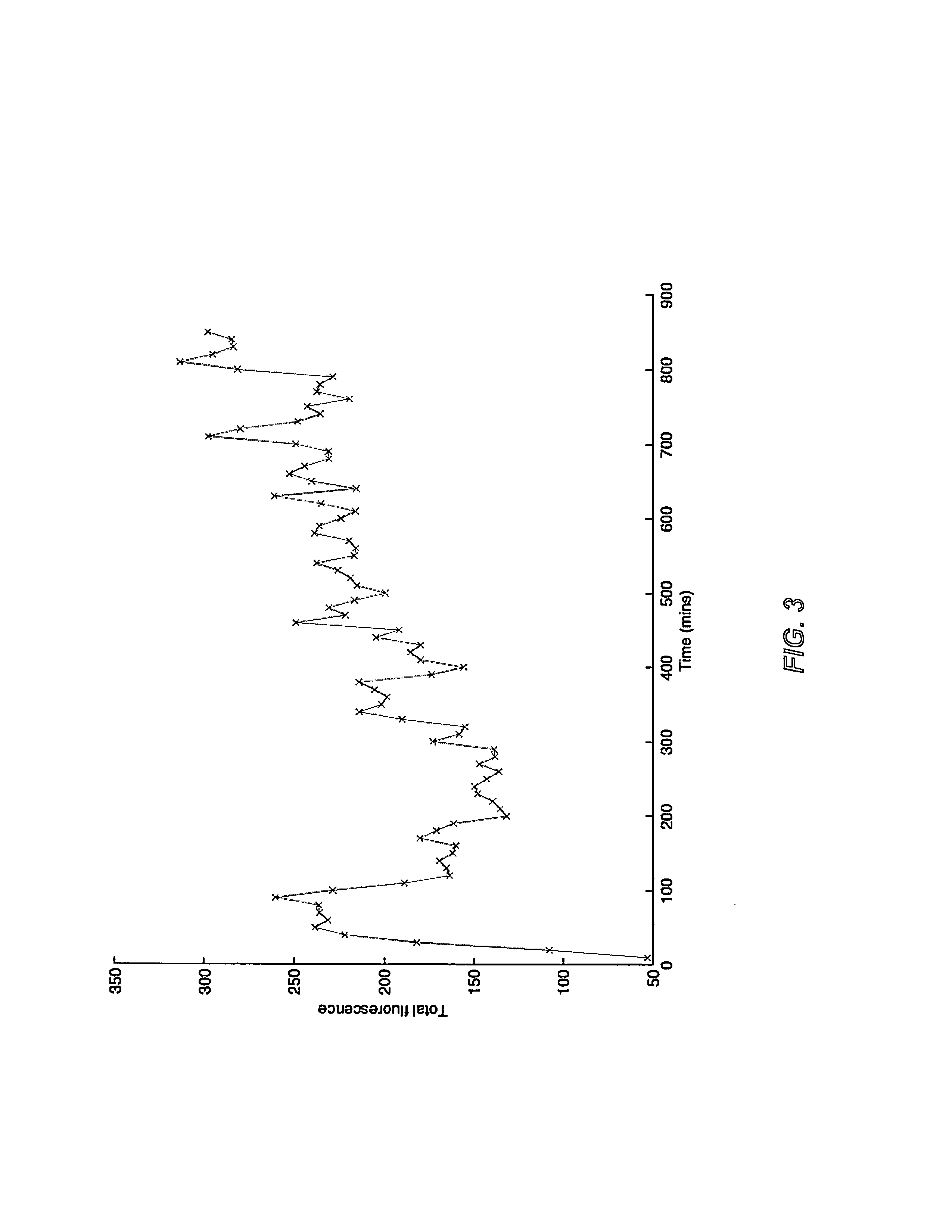 Host cells with artificial endosymbionts