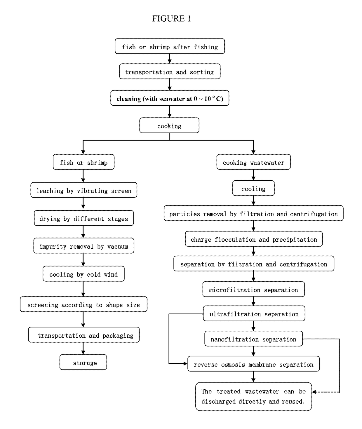 Continuous On-Board Processing of Seafood After Fishing on the Sea