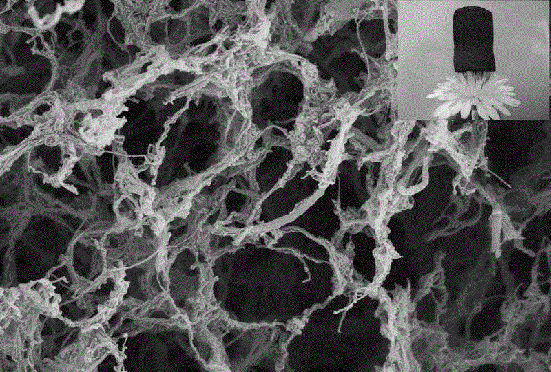 Heteroatom doped leaf-shaped carbon nanometer aerogel material and preparation method and application thereof