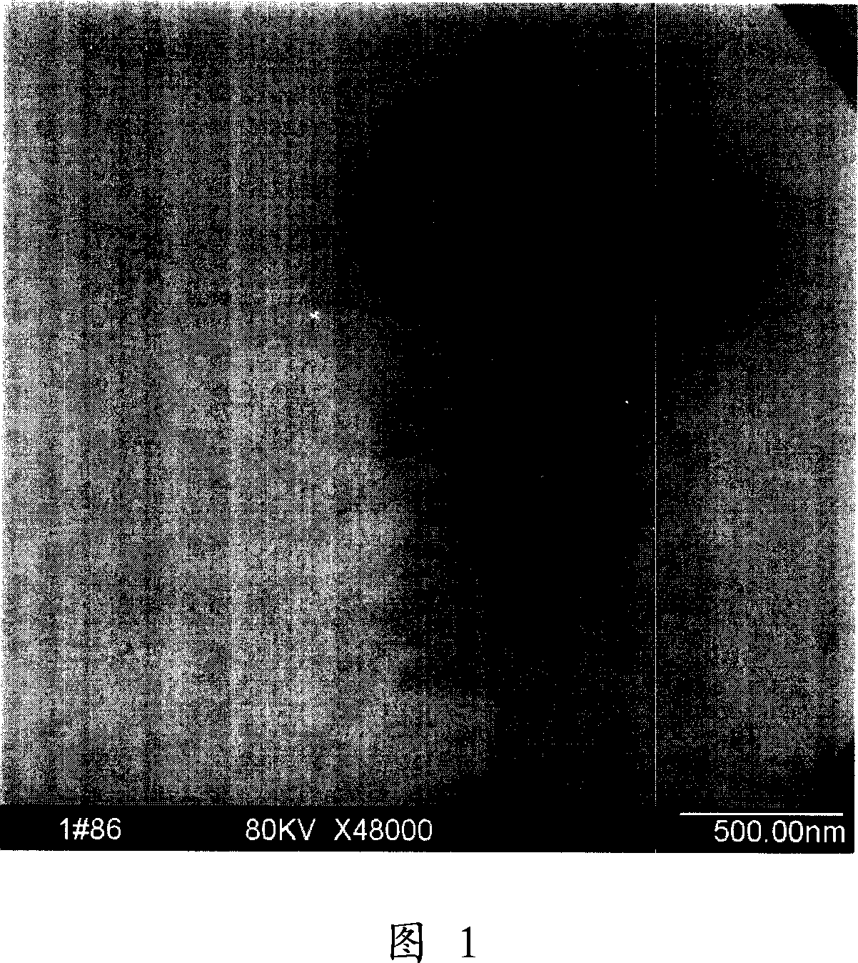 Controlled release microparticles of Nano medication of curcumin, and preparation method