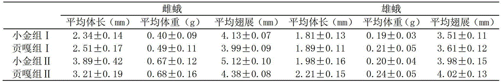 A kind of species rejuvenation culture method for artificially propagating Cordyceps host insects