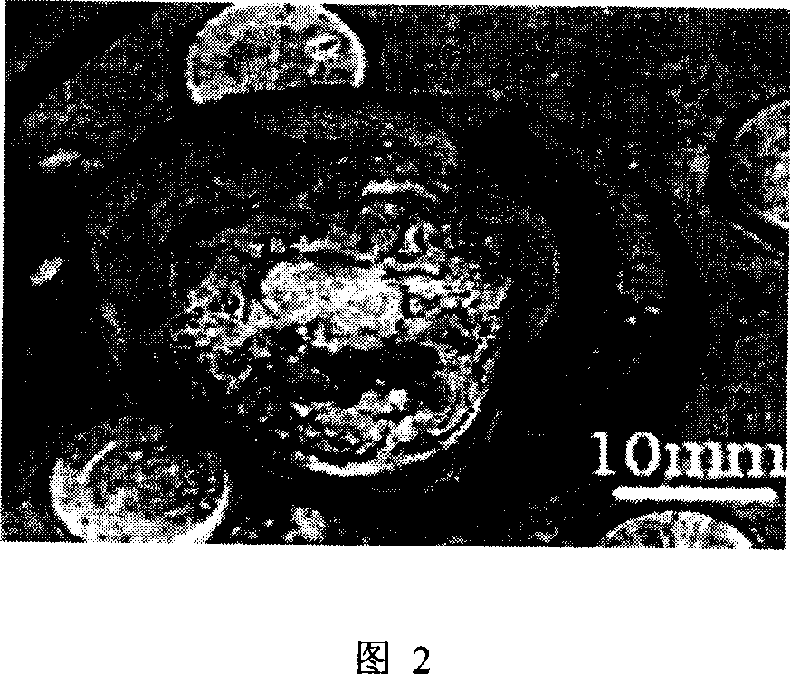 Preparation method and apparatus for amorphous nano carbon tube