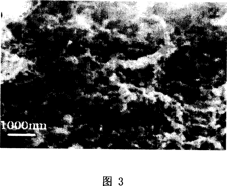 Preparation method and apparatus for amorphous nano carbon tube