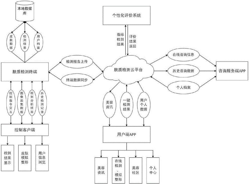 Skin type detection and individuation evaluation system and method based on cloud platform