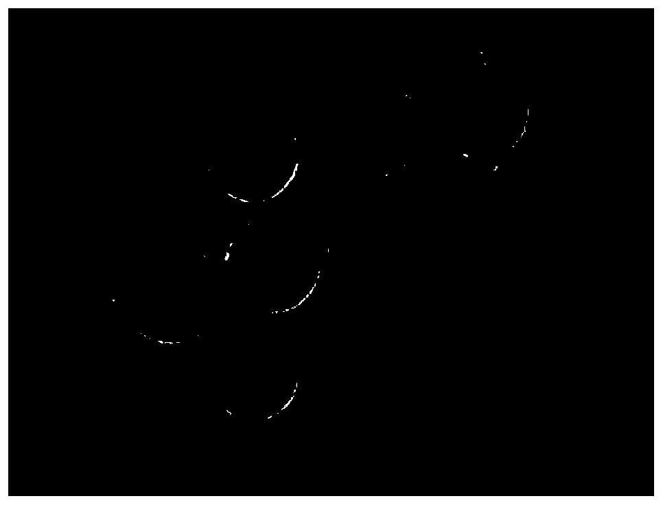 Method for detecting fertilization ability of bovine frozen semen and its application