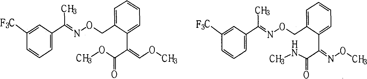 Fungicide composition