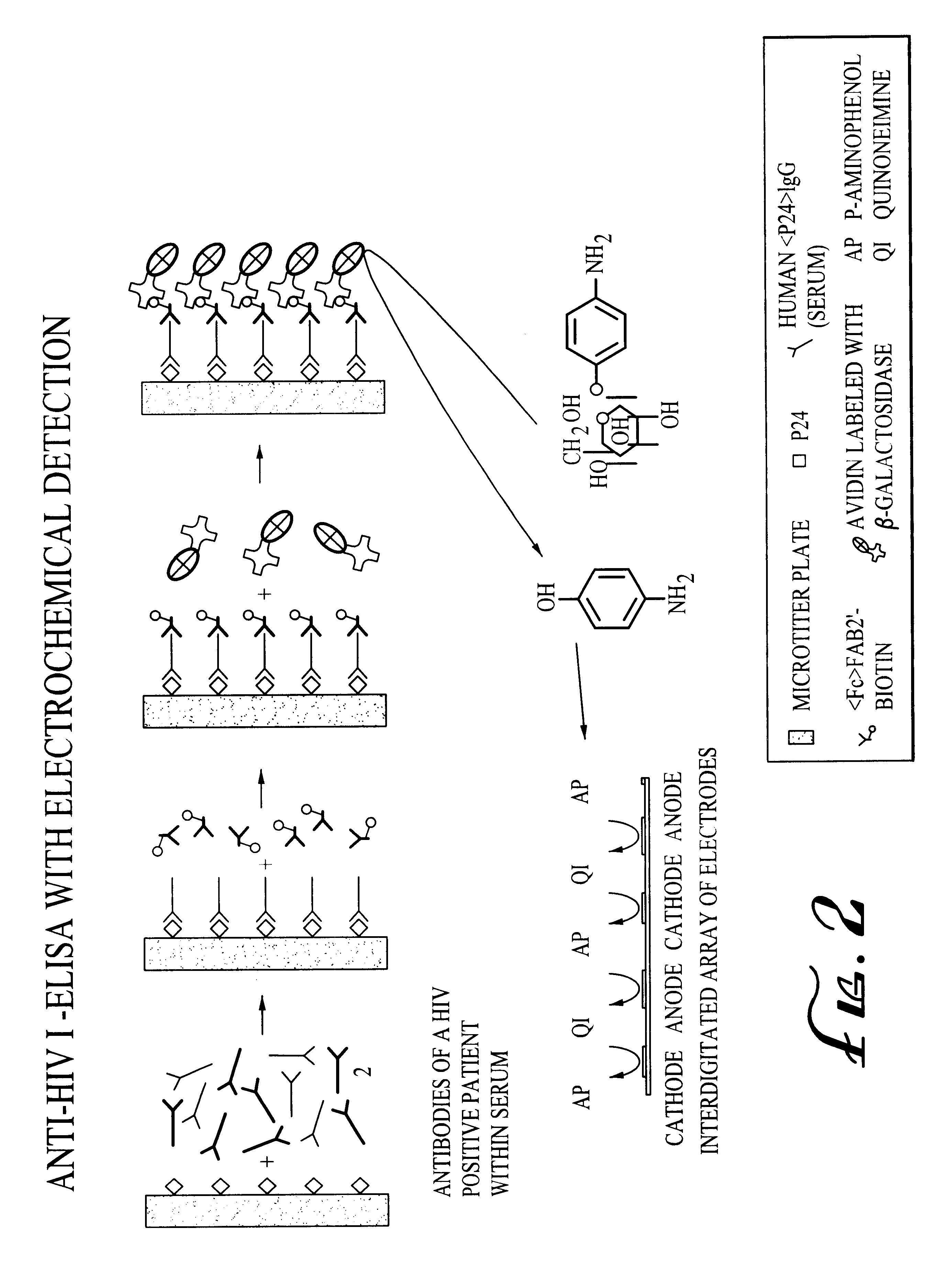 Electrochemical reporter system for detecting analytical immunoassay and molecular biology procedures