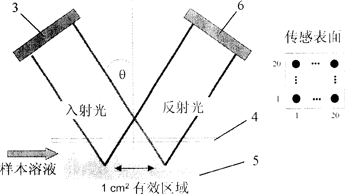 Sensing method of protein chip and detection system therefor