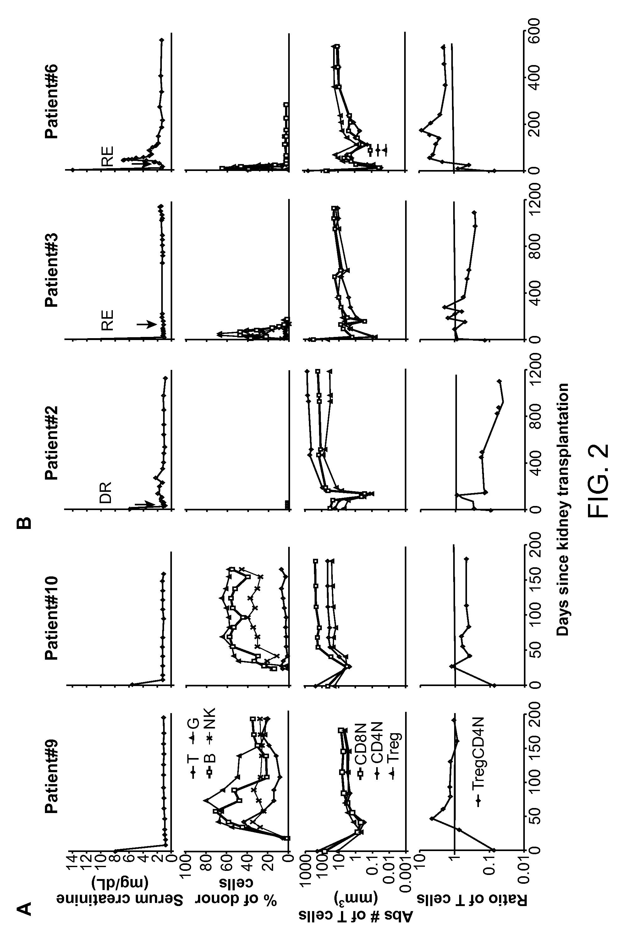 Biomarkers for determining an allograft tolerant phenotype