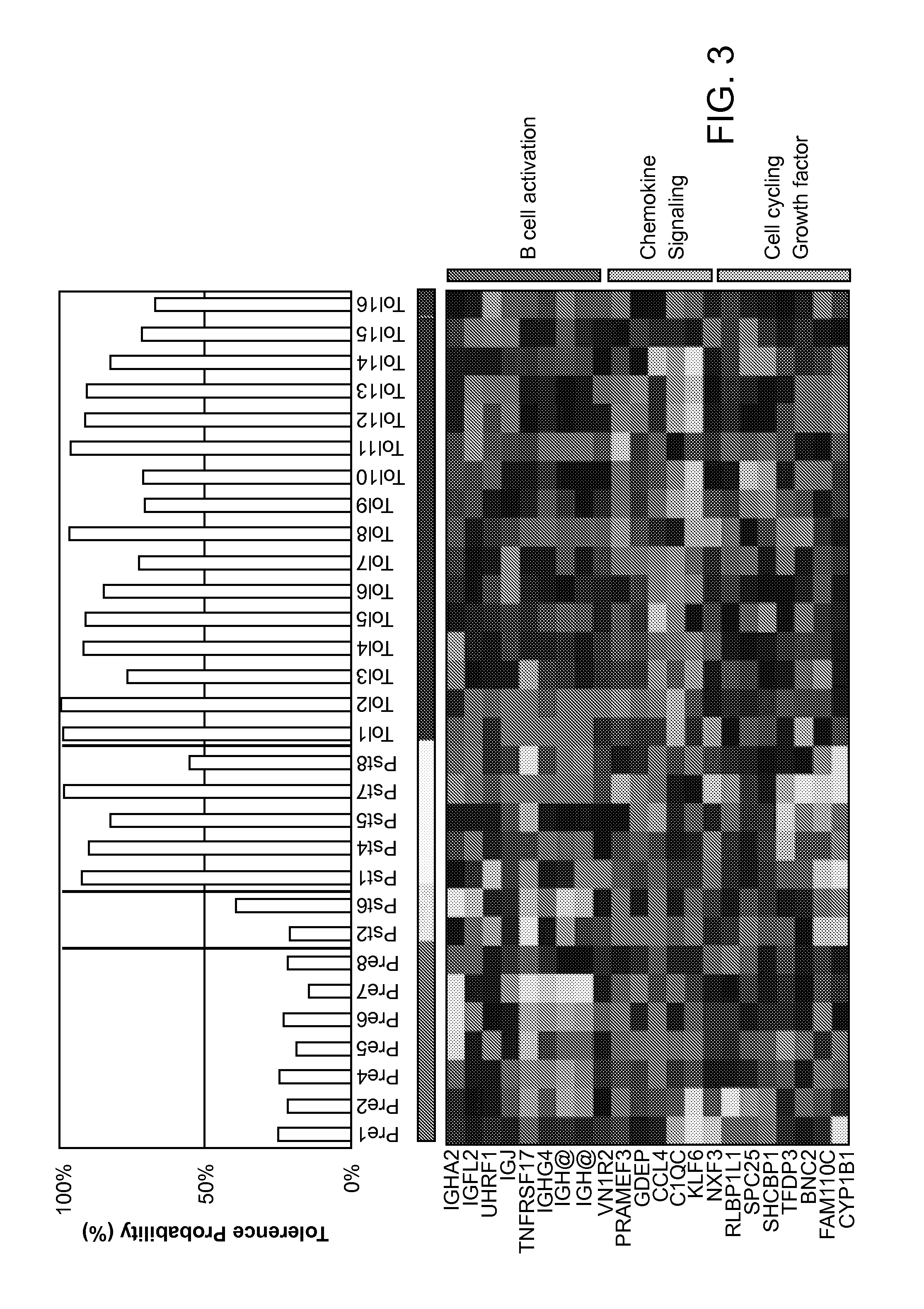 Biomarkers for determining an allograft tolerant phenotype