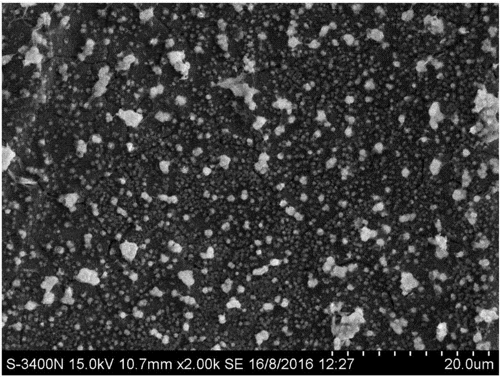 Electroplating selenium plating solution, and lithium-selenium battery and positive electrode material thereof