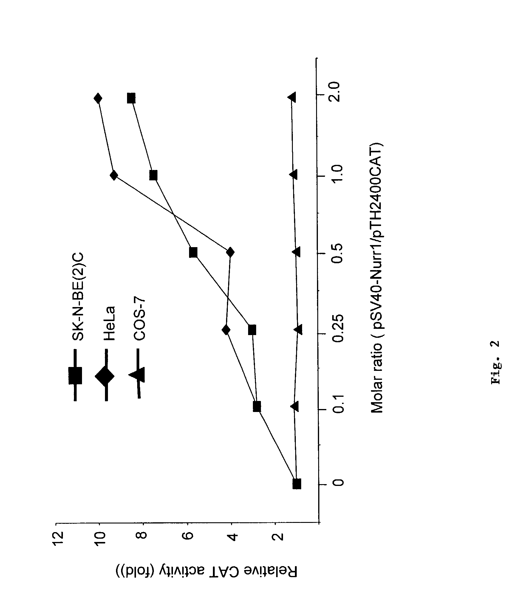 Multimerized enhancer domains for cell-specific expression