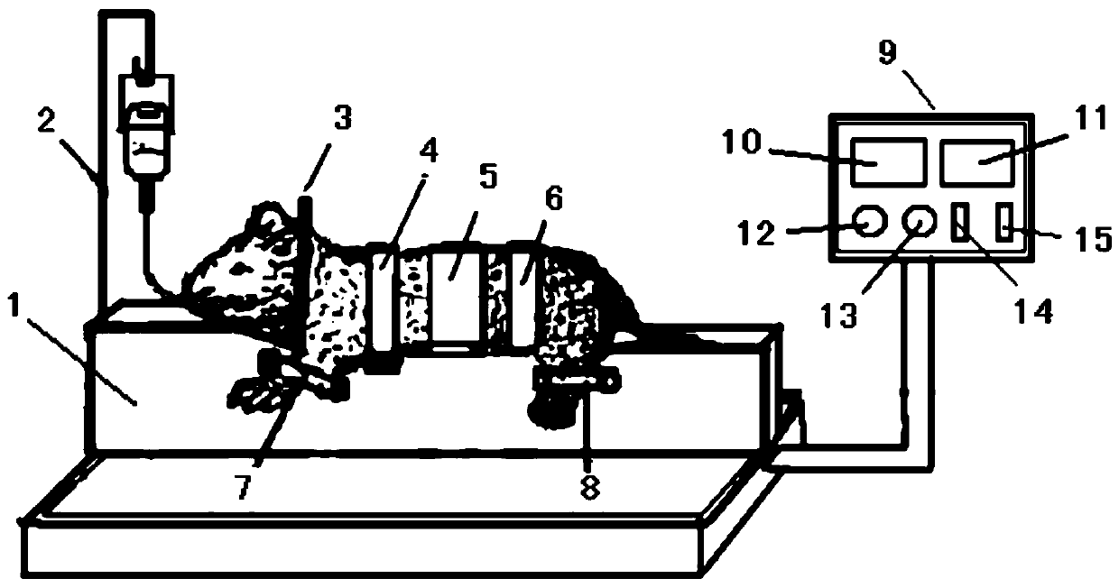 Silica gel hypothermia model-making animal experimental device