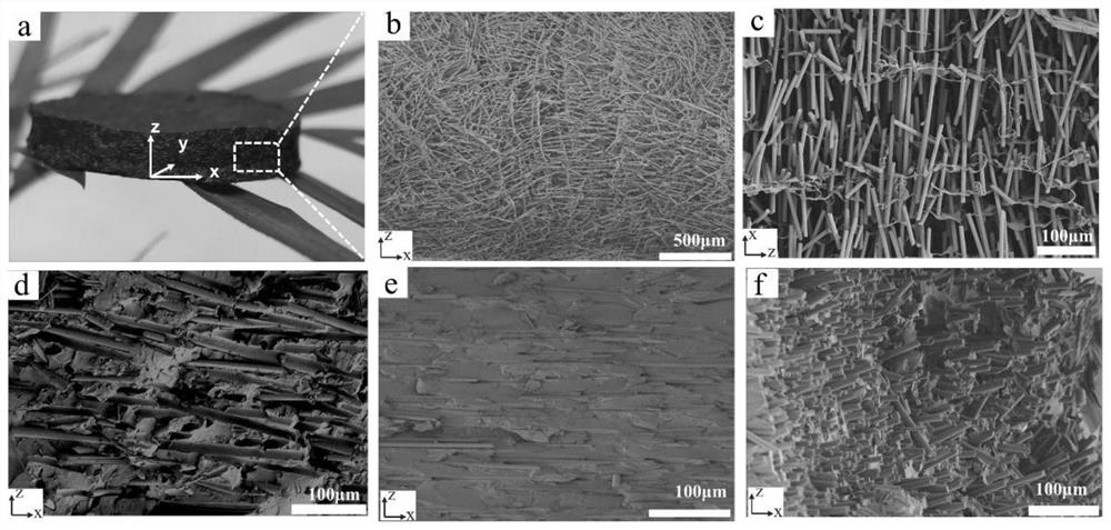 A three-dimensional ordered and controllable carbon fiber thermally conductive composite material and preparation method thereof