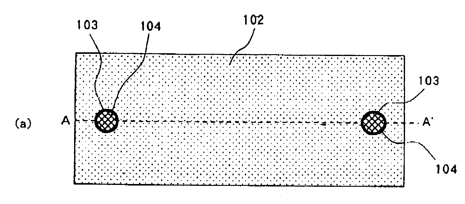 Microchip and analysis method using the microchip