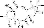 Conversion method of caperia diterpene alcohol derivatives and its use in the preparation of antitumor drugs