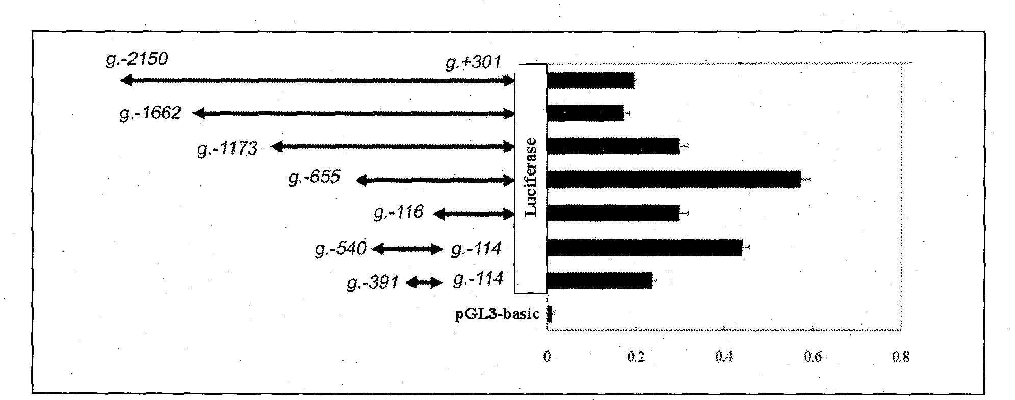 Core promoter for influencing cow mastitis infectibility/resistance HMGB3 gene and functional molecule mark and application