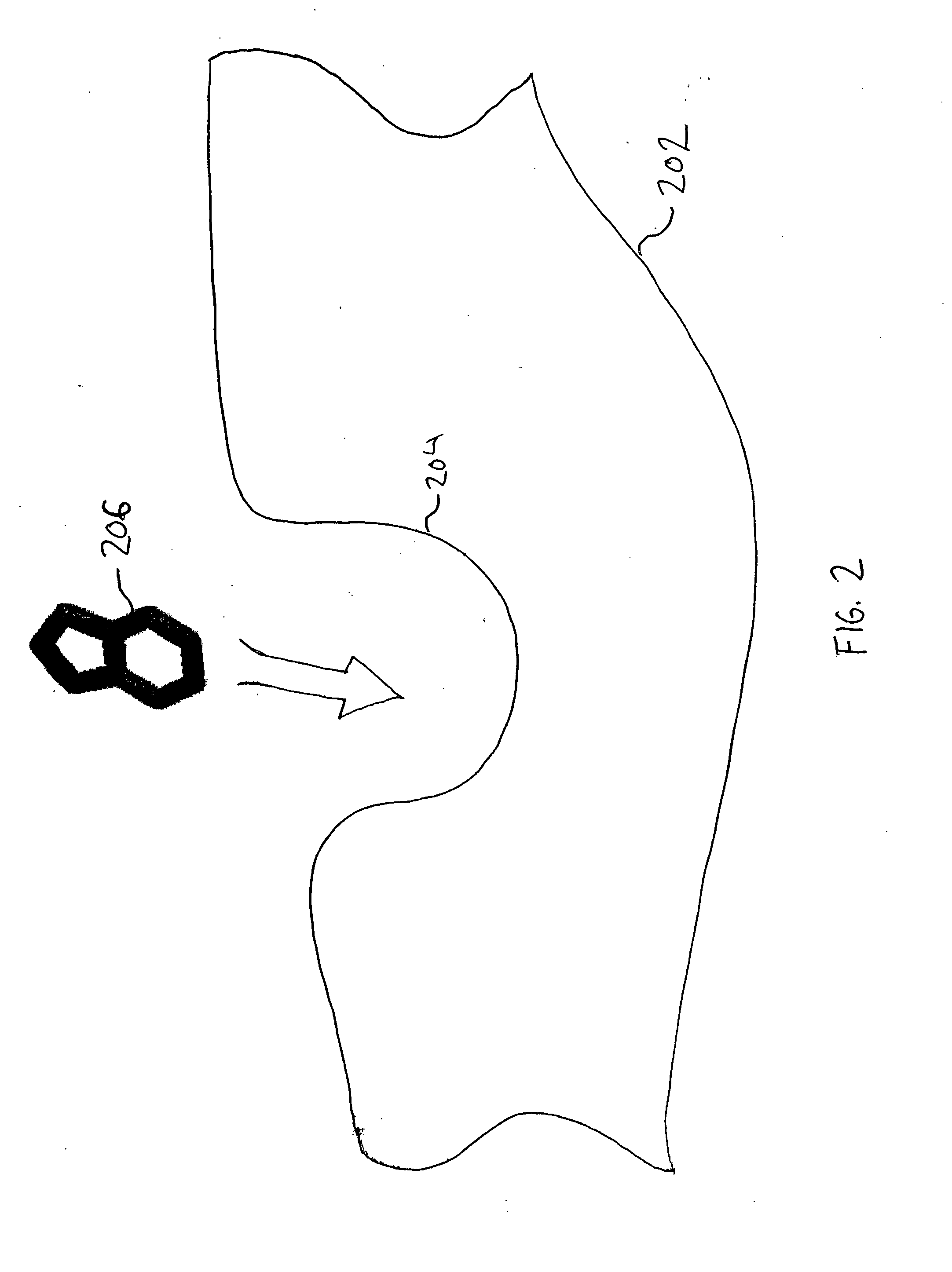 Method, system, and computer program product for identifying binding conformations of chemical fragments and biological molecules