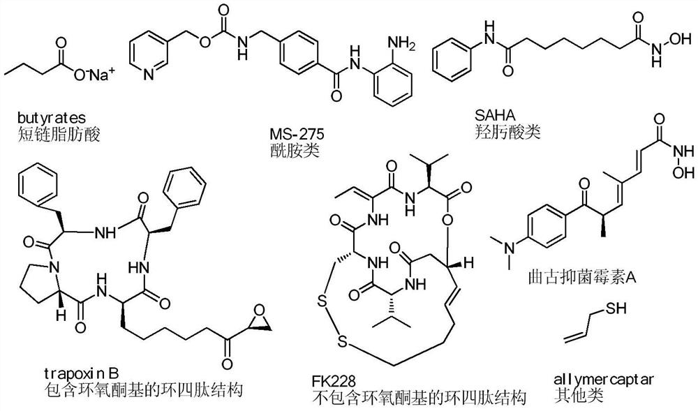 Difluoro-substituted romidepsin analogue as well as preparation method and application thereof