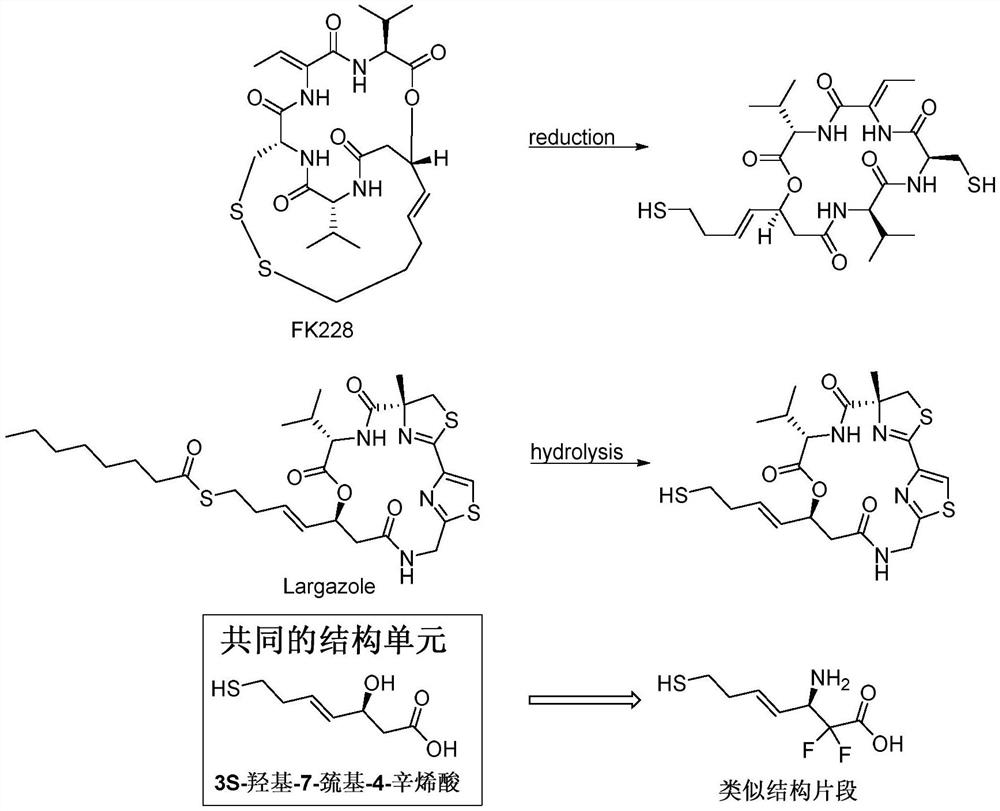 Difluoro-substituted romidepsin analogue as well as preparation method and application thereof