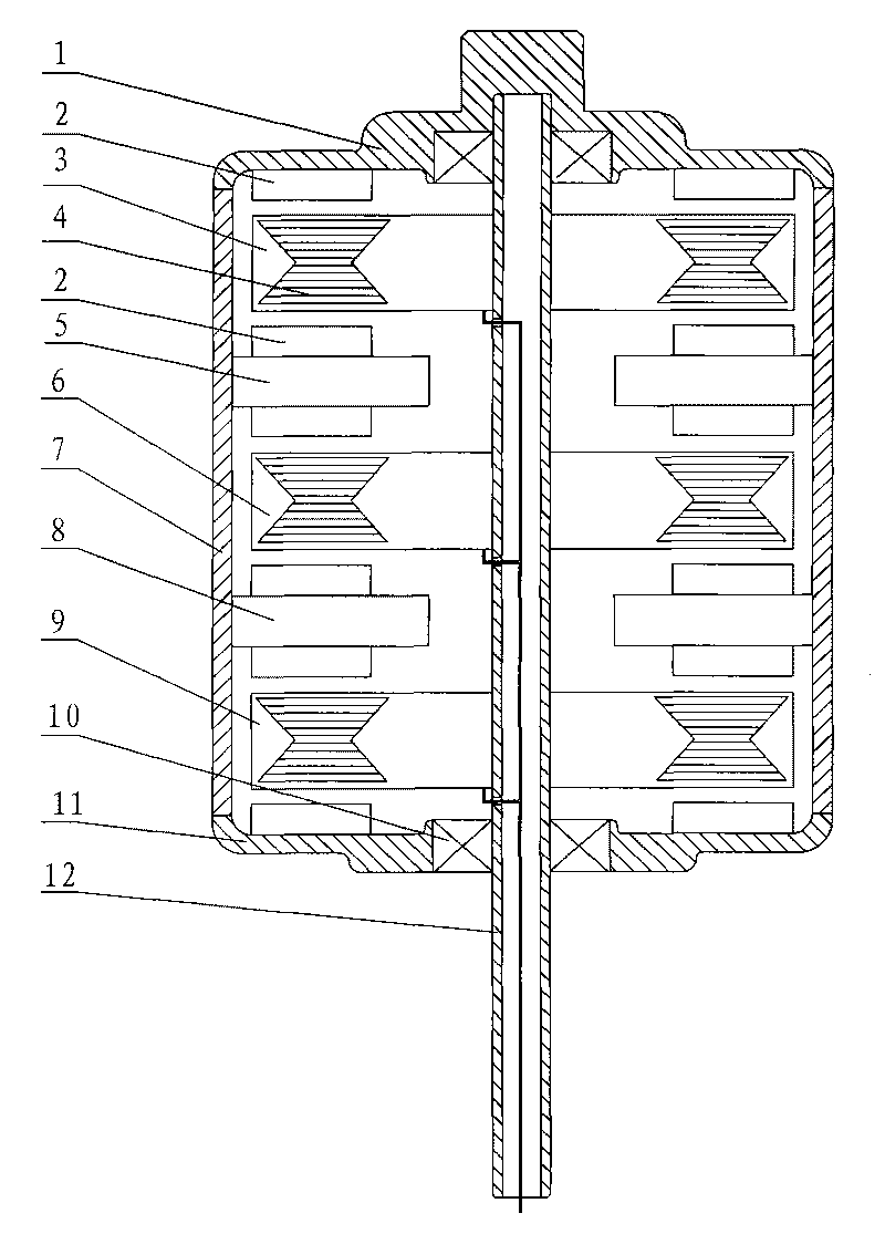 Intelligent permanent magnetic wind driven generator