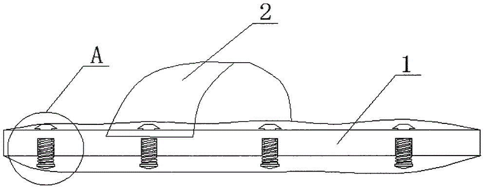 Physiotherapeutic shoe