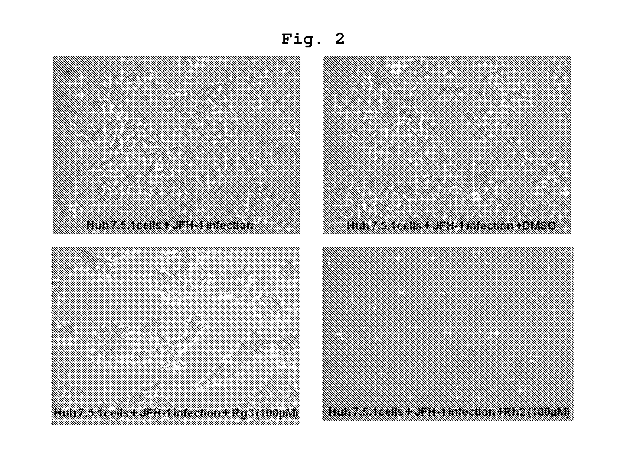 Compositions for prevention or treatment of Hepatitis C virus containing ginsenoside Rg3 as an active ingredient