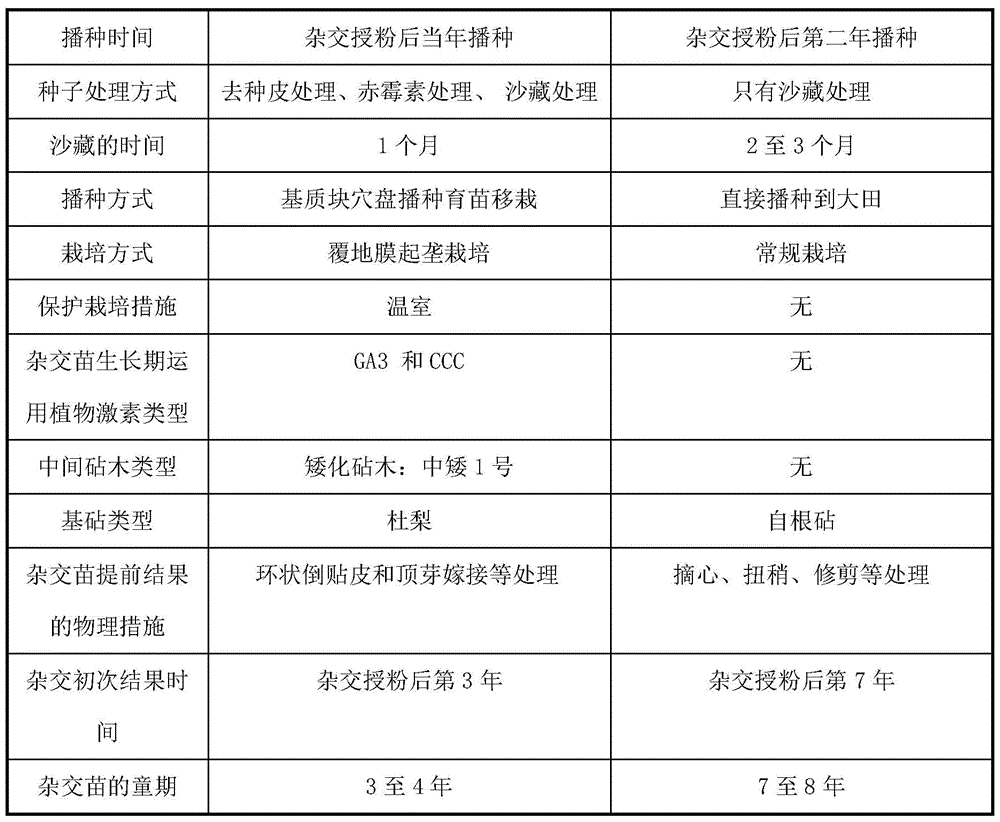 Method for shortening juvenile period of directive breeding hybrid seedlings of Pyrus bretschneideri Rehd.