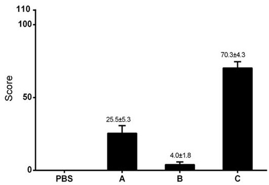 A tacrolimus ophthalmic preparation and preparation method thereof