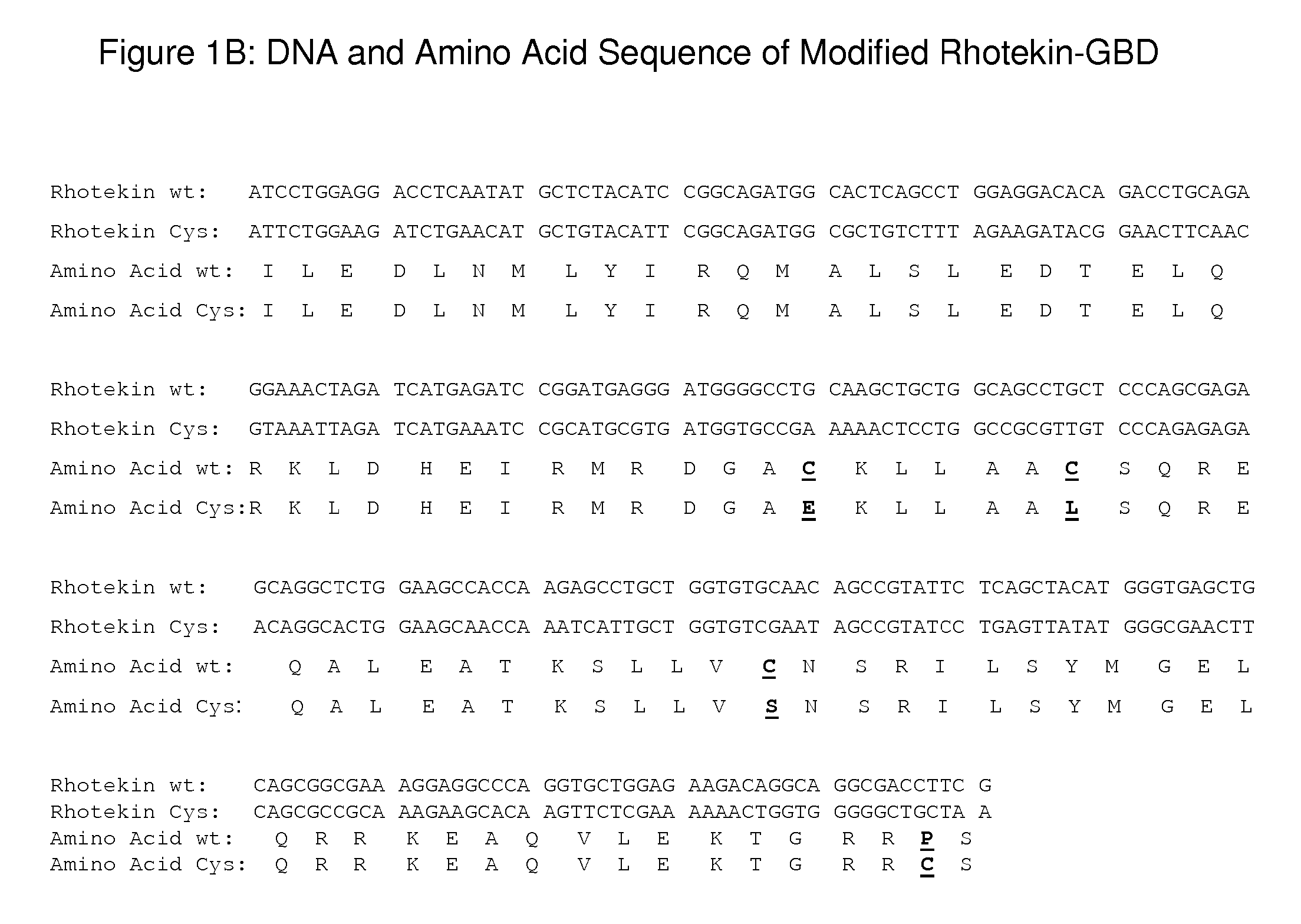 Detection of Rho proteins