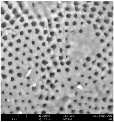 A kind of diatomite composite material and preparation method thereof