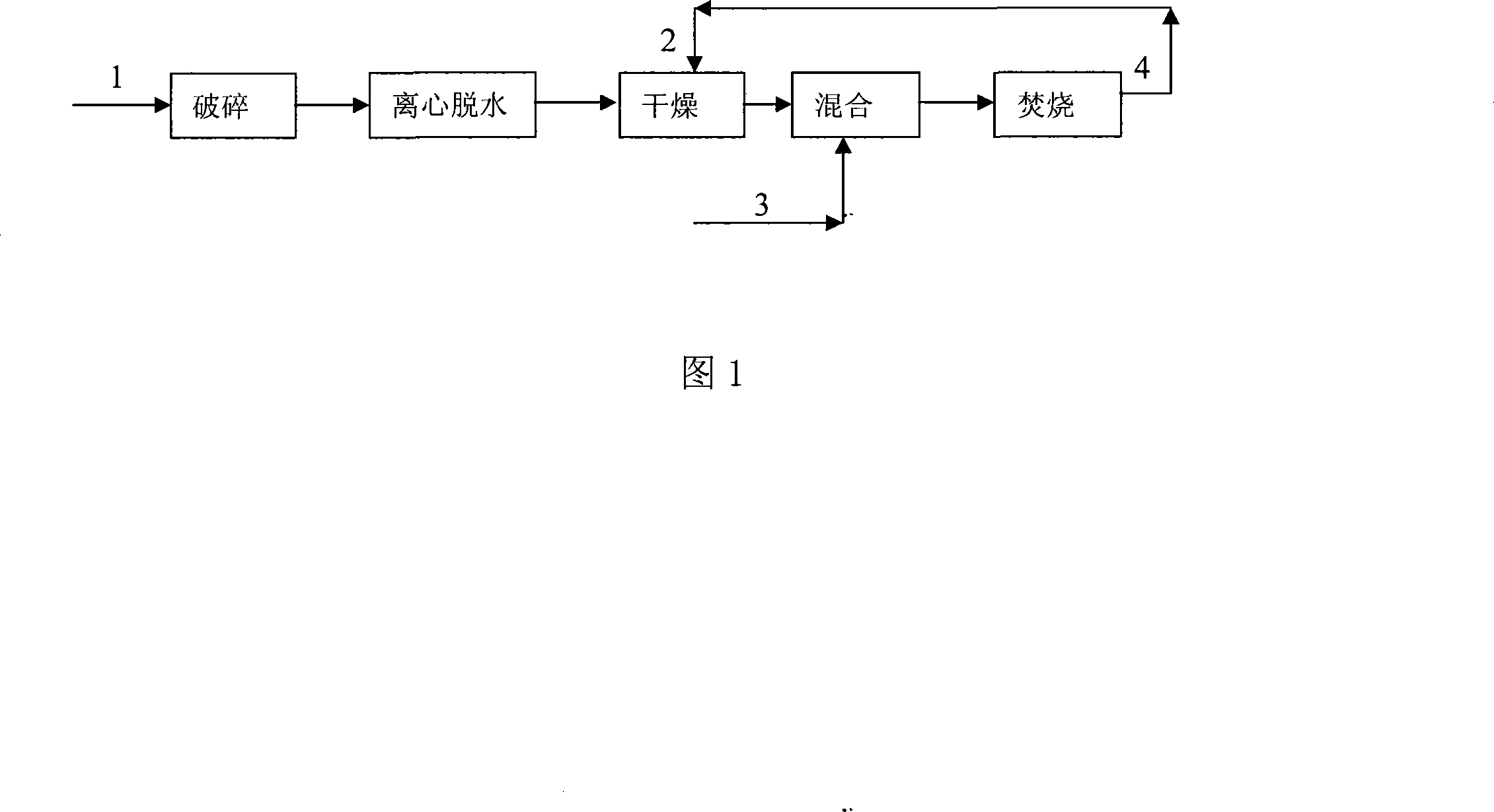 Burning processing method for hyacinth