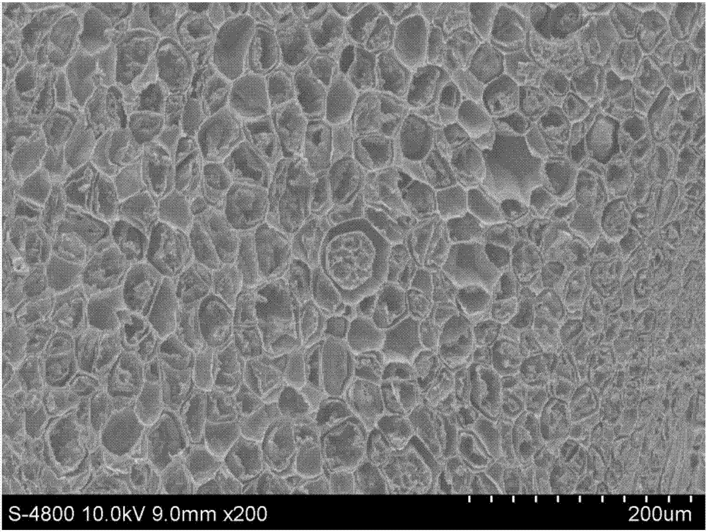 Method for observing same sample by using paraffin section and scanning electron microscope