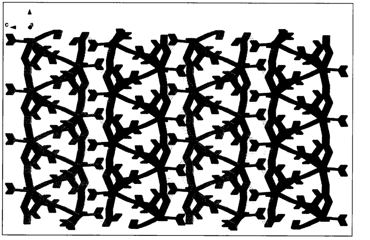 Holmium nitrilotriacetate complex used as cadmium ion fluorescent probe and preparation method thereof