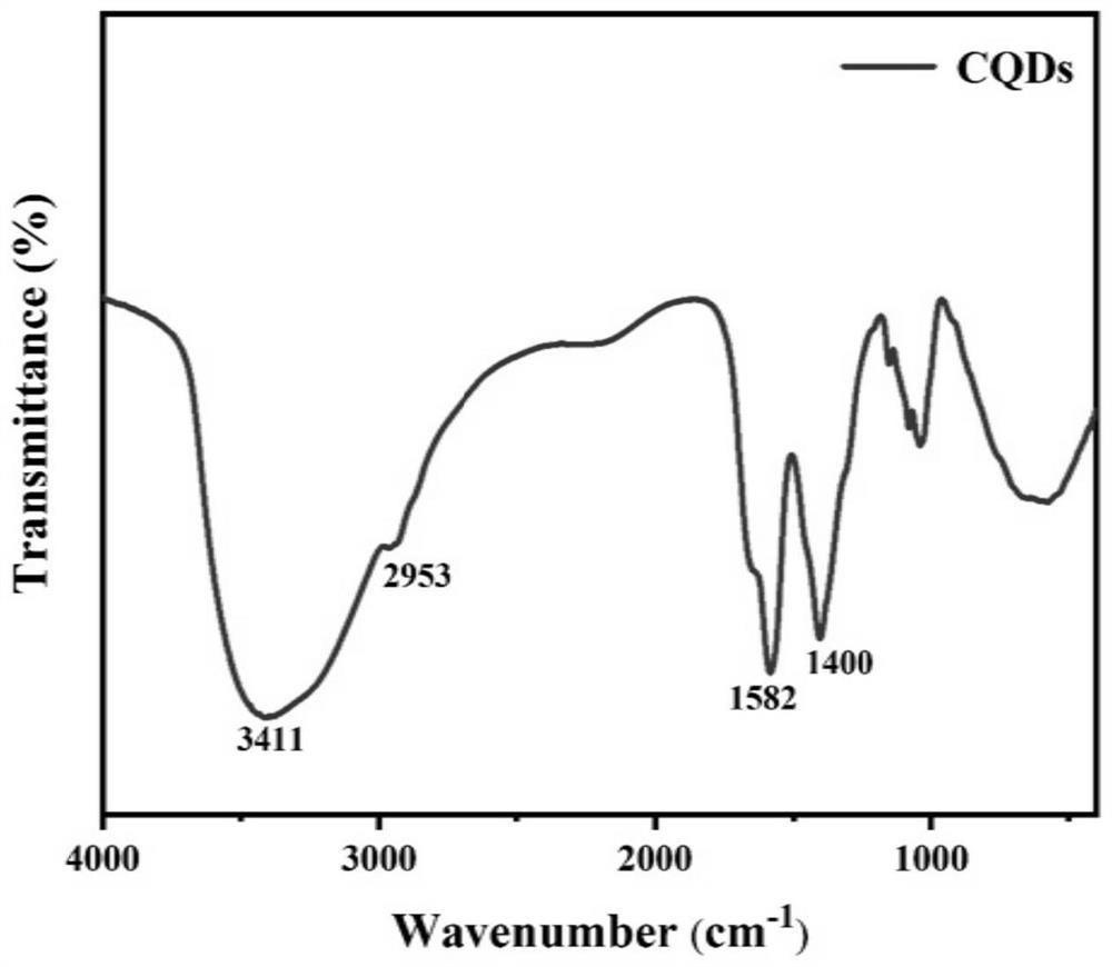 Novel carbon material based on coffee beans and method for detecting lead ions and PPi